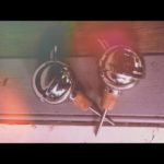 Spirit measure set of 2 large pourer 5 CL 1960 England