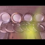 Alessi set 10x metal design coaster 2000 Italy