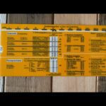 IBM Data and speech network costs slide chart 1999 Germany